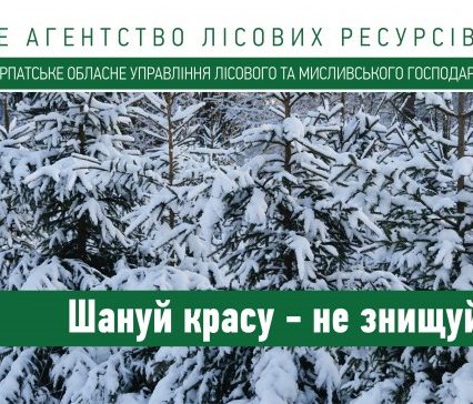 Спецоперація “Ялинка”: працівники державної лісової охорони провели рейди з охорони шпилькових