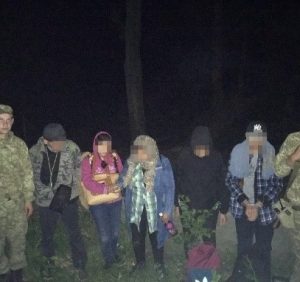 На Закарпатті до п’яти років позбавлення волі засудили провідника нелегальних мігрантів