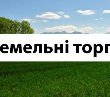 Понад 1 мільйон гривень надійшло до бюджетів місцевих рад Закарпаття завдяки земельним торгам, проведеним у 2019 році