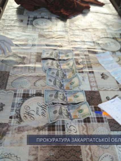 600 дол США за відпуск не облікованої деревини: на Закарпатті прокурори задокументували вимагання хабара посадовцями лісгоспу