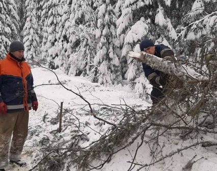 Впродовж доби закарпатські рятувальники продовжували допомагати населенню