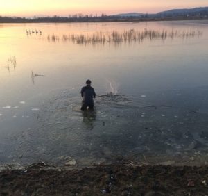 Тячівські надзвичайники рубали кригу, щоб врятувати родину лебедів