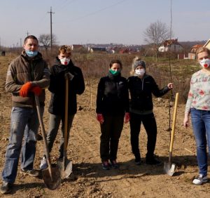 Під Ужгородом з’явилась алея дуба червоного
