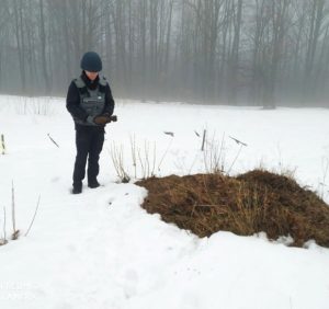 На Березнянщині прикордонник натрапив на мінометну міну. Піротехніки знищили смертоносну знахідку