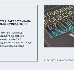 На Рахівщині прокуратура зареєструвала провадження за повідомленням преси про незаконні вирубки у Ясінянському ЛМГ