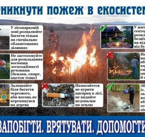 Рятувальники закликають людей не провокувати пожежі в екосистемах