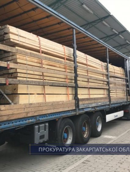 На Закарпатті викрито схему контрабандного вивезення деревини за кордон