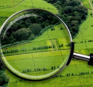 На Мукачівщині прокуратура звернулася до суду, щоб конфіскувати понад 4 га земель у громадян росії