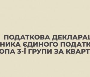 Податкова декларація платника єдиного податку-ФОПа 3 групи за квартал (відеоурок)