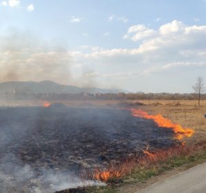 Затверджено обвинувальний акт щодо палія “Долини нарцисів”