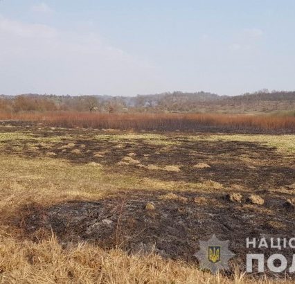 Поліція розшукала чоловіка, який підпалив Долину нарцисів на Хустщині