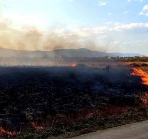 У Хусті прокуратура погодила підозру палію 9 га «Долини нарцисів». Сума збитків складає 650 тисяч гривень