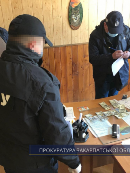 На Закарпатті затримано лісничого, який вимагав 1200 дол США за відпуск не облікованої деревини (фото)