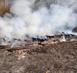 За день закарпатські рятувальники ліквідували півсотні пожеж в екосистемах (фото)