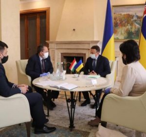 Відкриття пунктів пропуску, ремонт існуючих, упровадження електронної черги та інші українсько-угорські проекти обговорили в Закарпатській ОДА