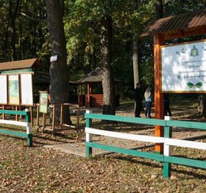 Рекреаційні пункти Берегівщини готові зустрічати гостей