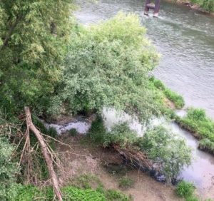 В річку Уж регулярно скидують нечистоти, а екоінспекція бездіє