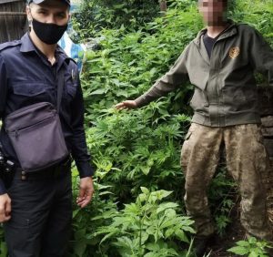 На Воловеччині поліцейські “накрили” наркогород