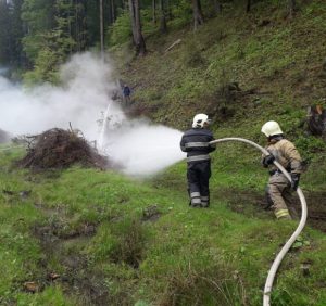 Міжгірські рятувальники й лісники провели спільні навчання з ліквідації пожежі в лісі (фото)