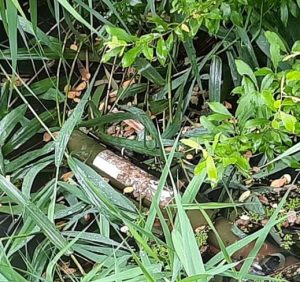 Нацгвардійці в Мукачево знайшли тубус від РПГ-22, який, ймовірно, має відношення до нещодавньої нічної стрілянини