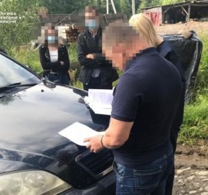 СБУ викрила нелегальні вирубки цінної деревини у двох держлісгоспах Закарпаття на близько 10 мільйонів гривень