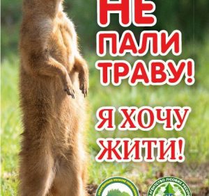 Лісівники Березянщини закликають обережно поводитись з вогнем