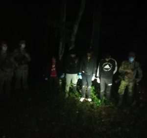 У лісі під Ужгородом біля кордону зі Словаччиною зупинили чергову групу нелегалів