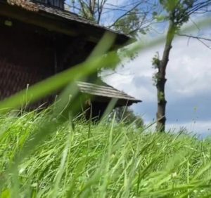 Стародавні дерев’яні церкви Закарпаття: Ірина Петрова відзняла серіал про унікальні пам’ятки (відео)