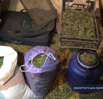 На Мукачівщині викрито канал оптового розповсюдження особливо небезпечних наркотиків