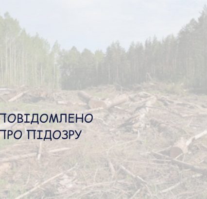 Понад 1,6 млн грн збитків через службову недбалість – підозрюють майстра лісу