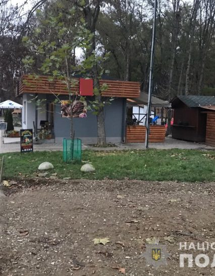 Махінації з майном Боздоського парку в Ужгороді: викрито держреєстратора і підприємницю