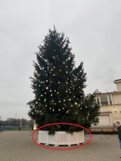 Новорічний пограбунок ужгородців. Стало відомо, у скільки обійшлося прикрасити міську ялинку