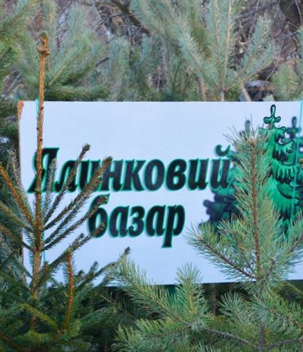 В Ужгороді визначили місця продажу новорічних ялинок