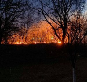 З початку цього року на Закарпатті виникло 317 пожеж, з яких 139 – при спалюванні сухотрав’я