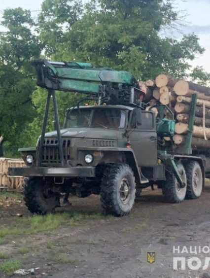 Тячівські поліцейські затримали вантажівку з деревиною сумнівного походження
