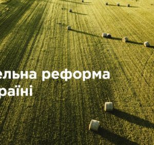 В Україні запрацював ринок землі: основні зміни та нововведення