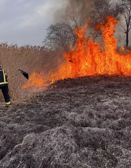 “Хазяйновиті” закарпатці від початку року спалили вже 34 га родючої української землі! Паліїв розшукують за допомогою дронів (відео)