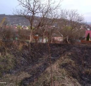 Закарпатті продовжують масово спалювати сухостій. Рятувальники б’ють на сполох