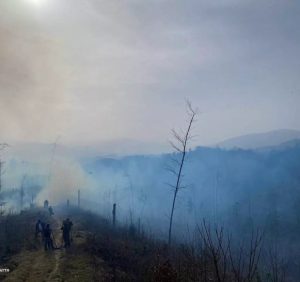 На Рахівщині рятувальники ліквідовують пожежу на території лісгоспу