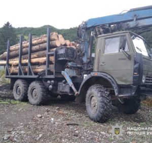Бірки не зійшлися: поліція виявила лісову махінацію на Рахівщині