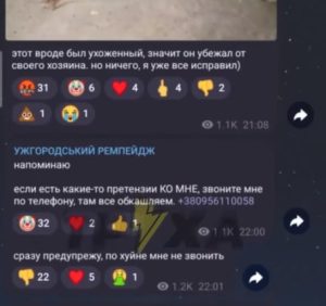 Шокуючі кадри жорстокого поводження з тваринами сколихнули Ужгород. Поліція розпочала перевірку