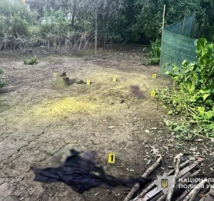 Жах на Закарпатті: підліток залишився без руки й ноги через вибух гранати Жах на Закарпатті: підліток залишився без руки й ноги через вибух гранати